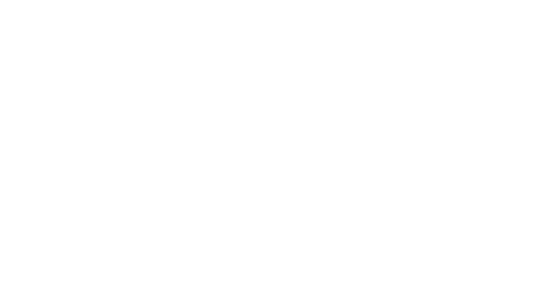 The Hayes Initiative